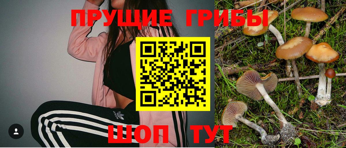 Светлоград  Галлюциногенные грибы ЛСД  Галлюциногенные грибы ЛСД  Вход с VPN 