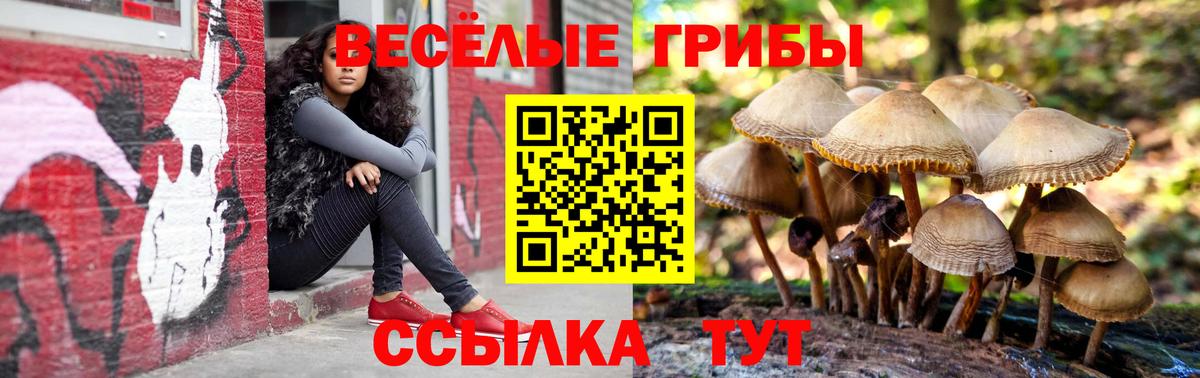 ГАШ  Светлоград  Конопля  Вход с VPN  Cocaine  Меф МЯУ МЯУ   МЕФ  ГАШ 